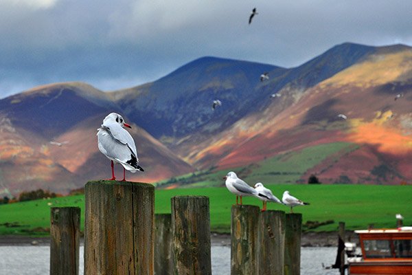 Derwentwater cycling holidays UK